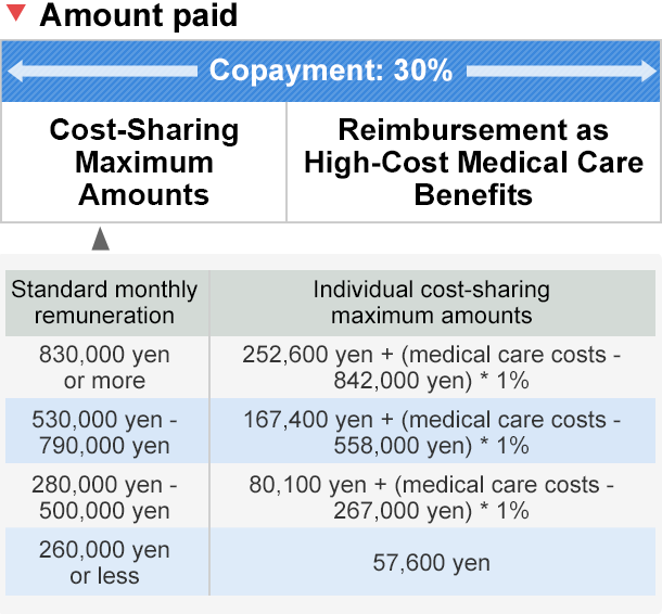 Amount paid, Reimbursement as High-Cost Medical Care Benefits, Standard monthly remuneretion 830,000 yen or more:Individual cost-sharing maximun amoutns= 252,600yen + (medical care costs - 842,000 yen) * 1%,  Standard monthly remuneretion 530,000 yen to 790,000 yen:Individual cost-sharing maximun amoutns= 167,400yen + (medical care costs - 588,000 yen) * 1%,  Standard monthly remuneretion 280,000 yen to 500,000 yen: Individual cost-sharing maximun amoutns= 801,000yen + (medical care costs - 267,000 yen) * 1% Standard monthly remuneretion 260,000 yen or less: Individual cost-sharing maximun amoutns= 57,600yen
