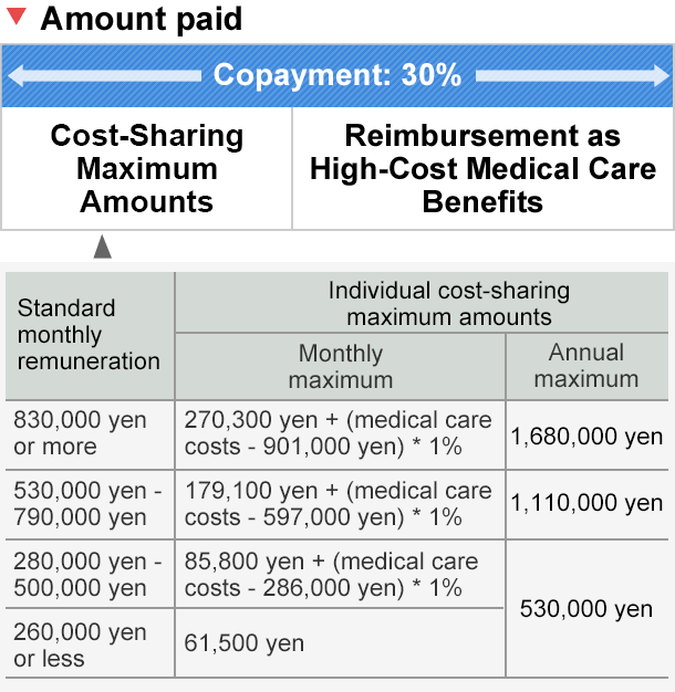 Amount paid, Reimbursement as High-Cost Medical Care Benefits, Standard monthly remuneretion 830,000 yen or more:Individual cost-sharing maximun amoutns= 252,600yen + (medical care costs - 842,000 yen) * 1%, Standard monthly remuneretion 530,000 yen to 790,000 yen:Individual cost-sharing maximun amoutns= 167,400yen + (medical care costs - 588,000 yen) * 1%, Standard monthly remuneretion 280,000 yen to 500,000 yen: Individual cost-sharing maximun amoutns= 801,000yen + (medical care costs - 267,000 yen) * 1% Standard monthly remuneretion 260,000 yen or less: Individual cost-sharing maximun amoutns= 57,600yen