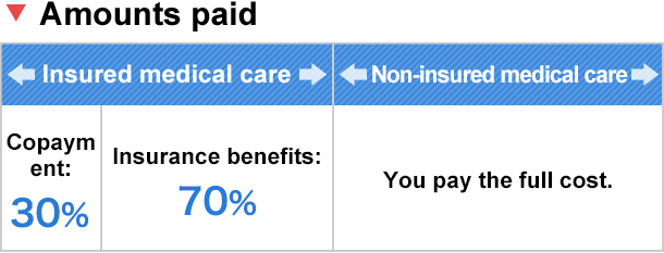 Amounts paid, Insured medical care: copyament 30%, Insurance benfits 70%, Non-insured medical care: You pay the full cost.