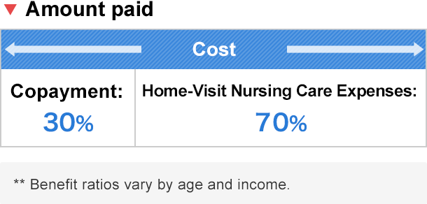 Amount paid copayment:30%, Home-Visit Nursing Care Expenses:70%. Benefition ratios vary by age and income.